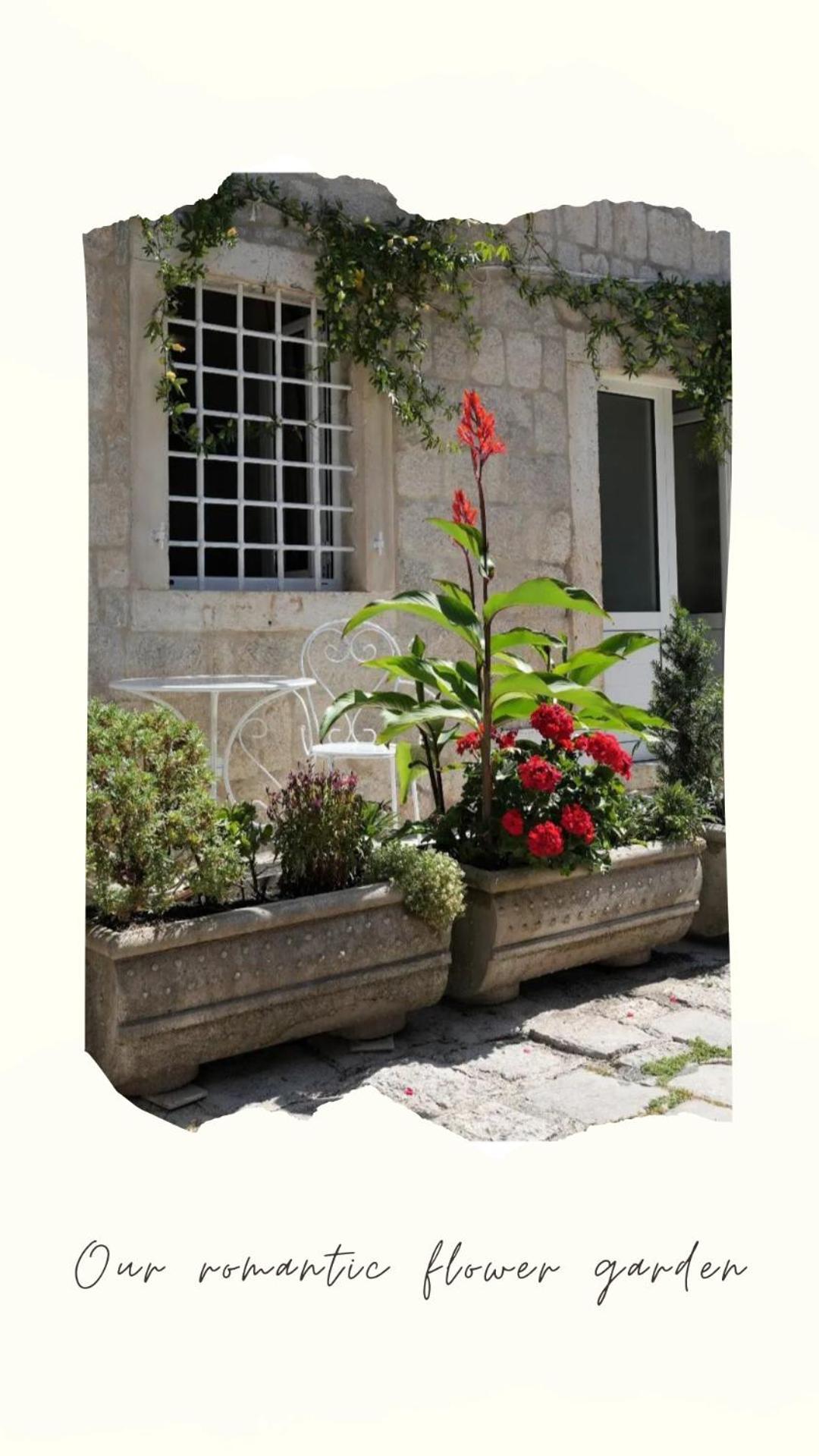Apartments Visit Perast Ngoại thất bức ảnh
