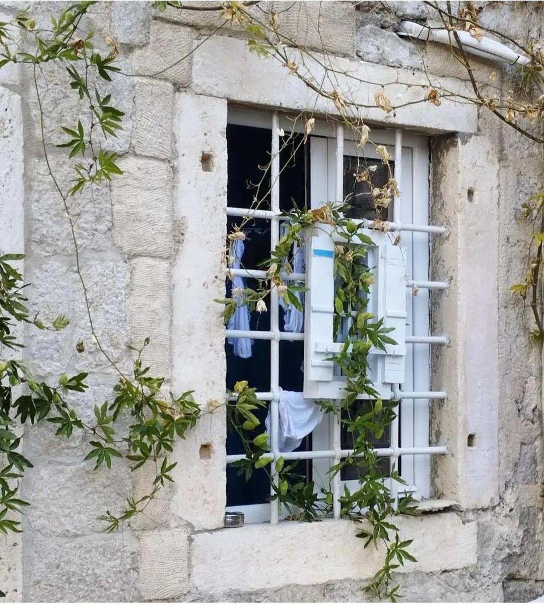 Apartments Visit Perast Ngoại thất bức ảnh